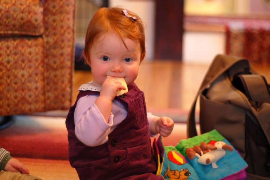 12 months old