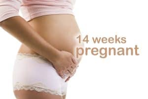 14 weeks pregnant