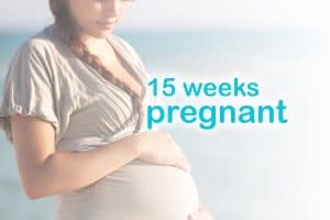 15 weeks pregnant