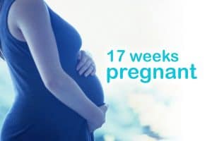17 weeks pregnant