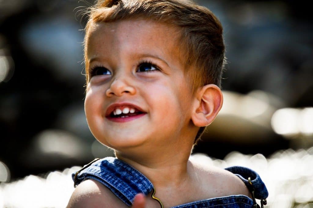 20 months old