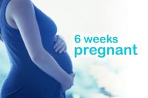 6 weeks pregnant