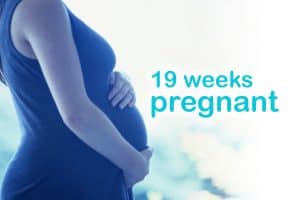 19 weeks pregnant
