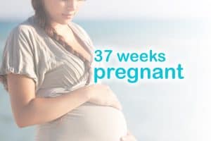 37 weeks pregnant