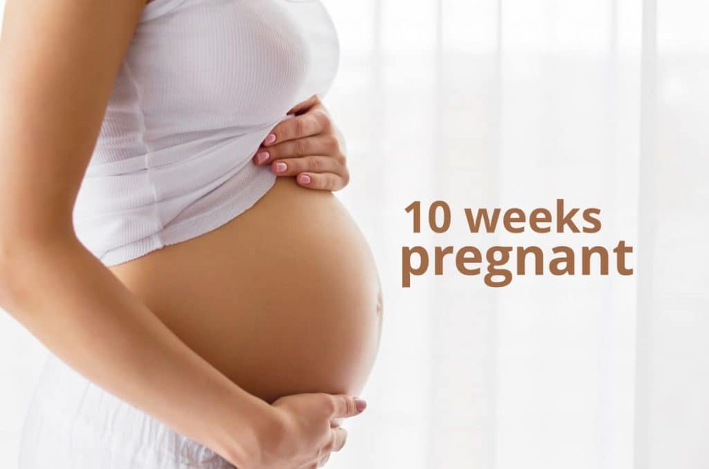 10 weeks pregnant