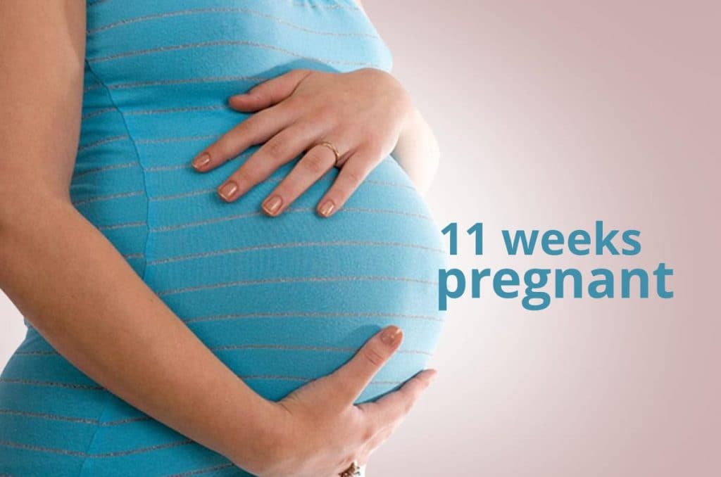 11 weeks pregnant