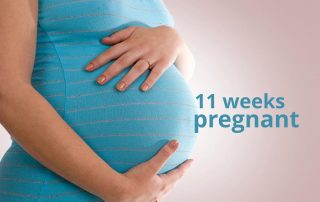 11 weeks pregnant