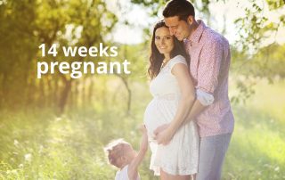 14 weeks pregnant