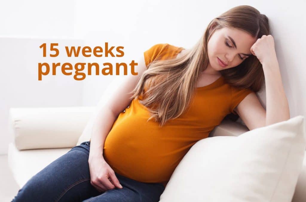 15 weeks pregnant