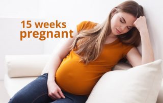 15 weeks pregnant
