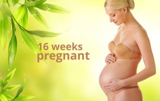 16 weeks pregnant