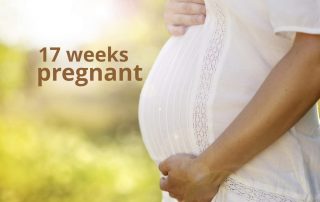 17 weeks pregnant