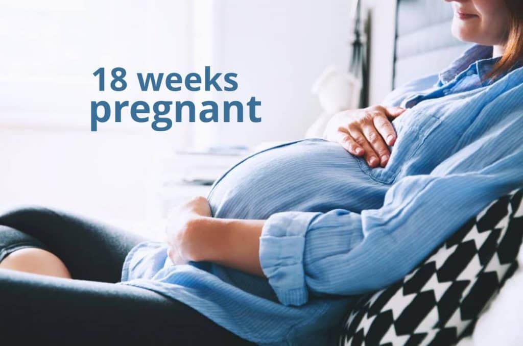 18 weeks pregnant