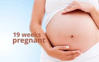 19 weeks pregnant