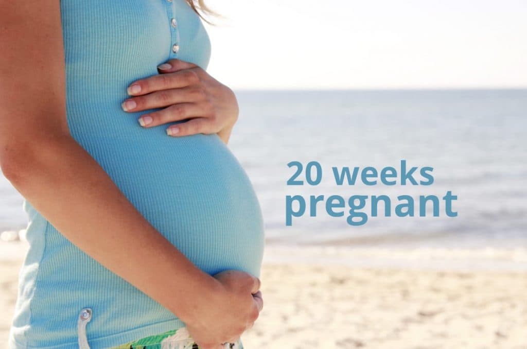 20 weeks pregnant