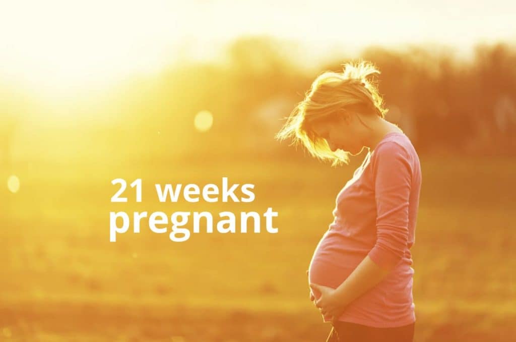 21 weeks pregnant