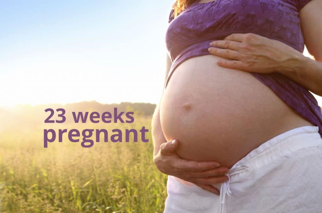 23 weeks pregnant