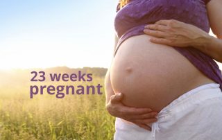 23 weeks pregnant