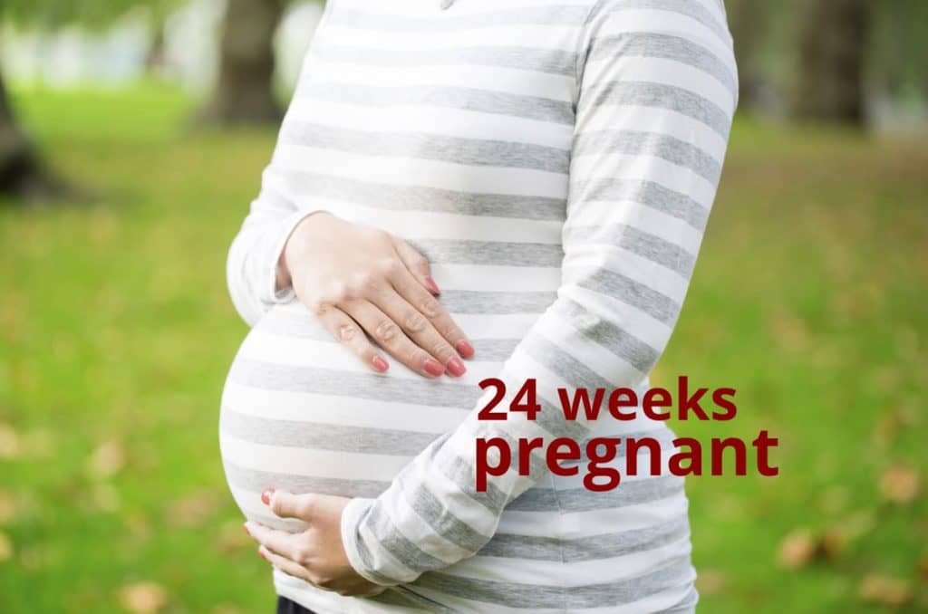 24 weeks pregnant