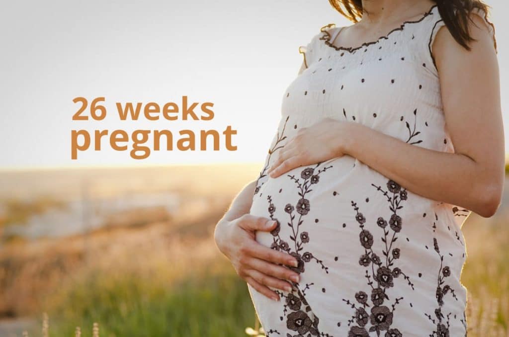 26 weeks pregnant