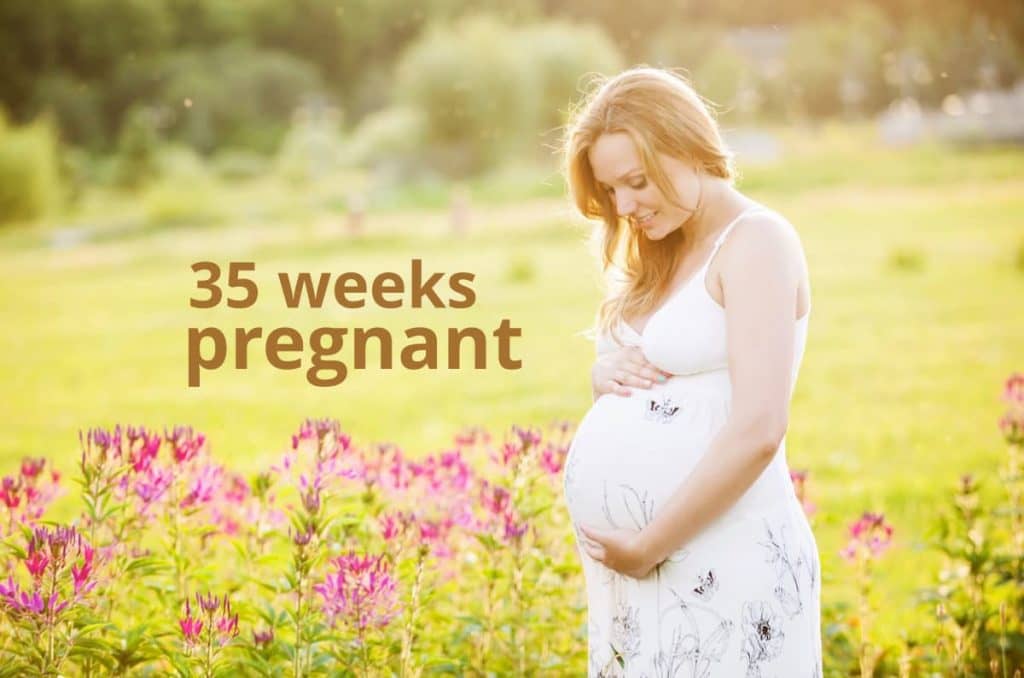 35 weeks pregnant
