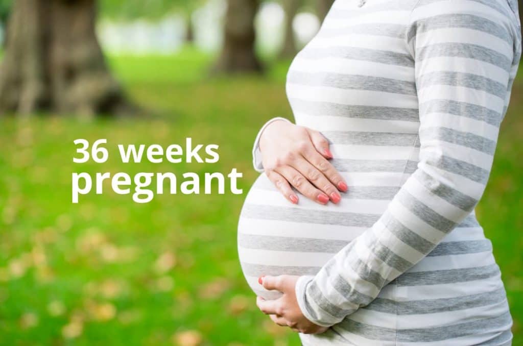 36 weeks pregnant