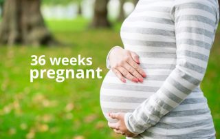 36 weeks pregnant