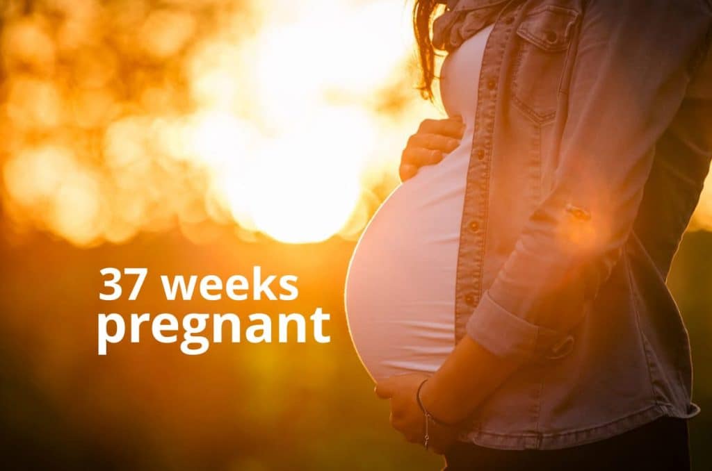 37 weeks pregnant