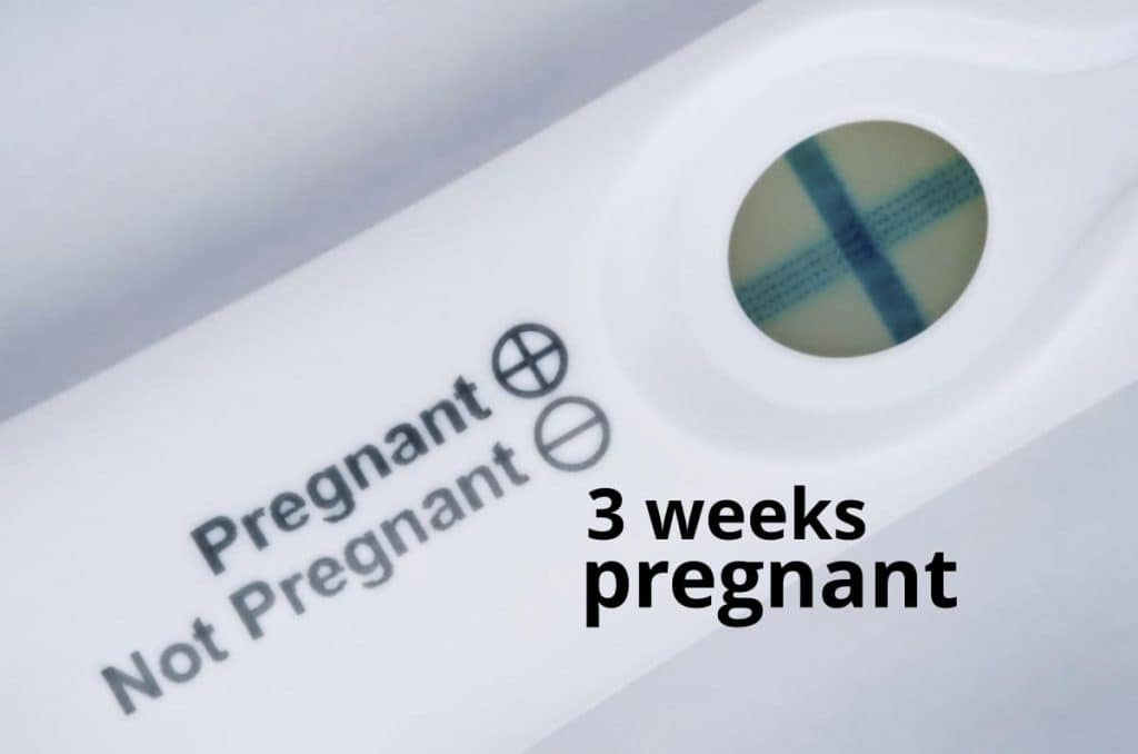 3 weeks pregnant