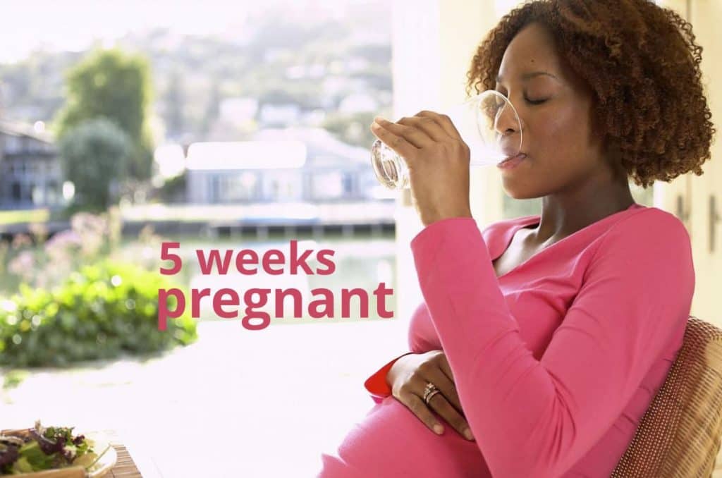 5 weeks pregnant