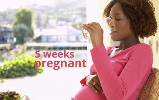5 weeks pregnant
