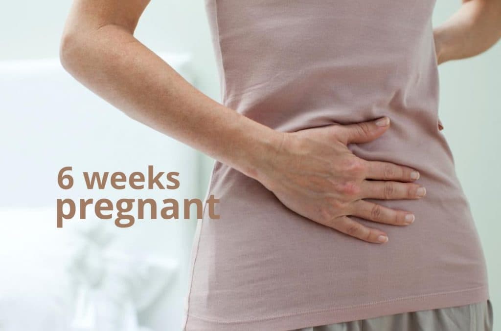 6 weeks pregnant