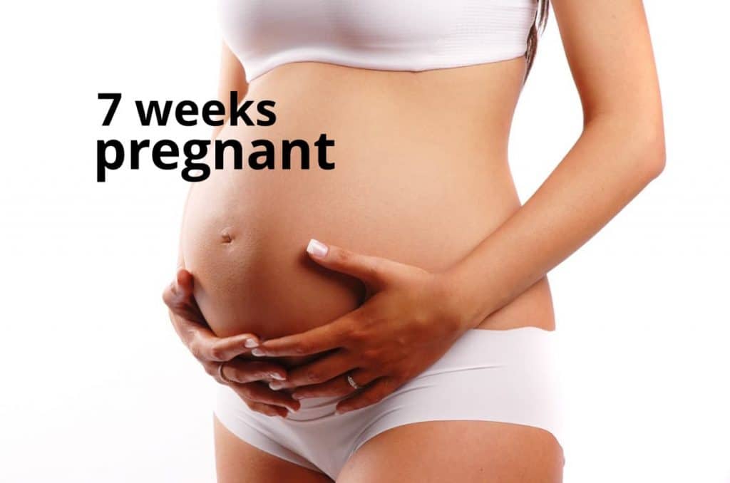 7 weeks pregnant