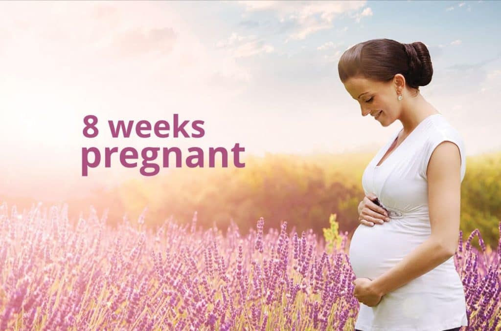 8 weeks pregnant