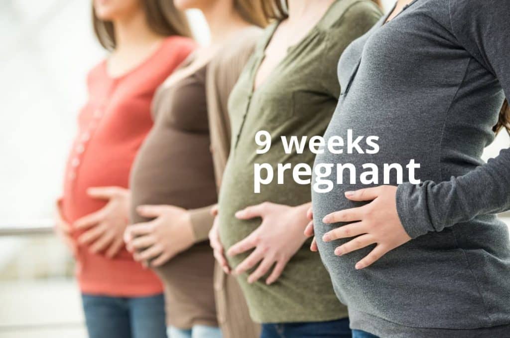 9 weeks pregnant