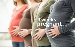 9 weeks pregnant