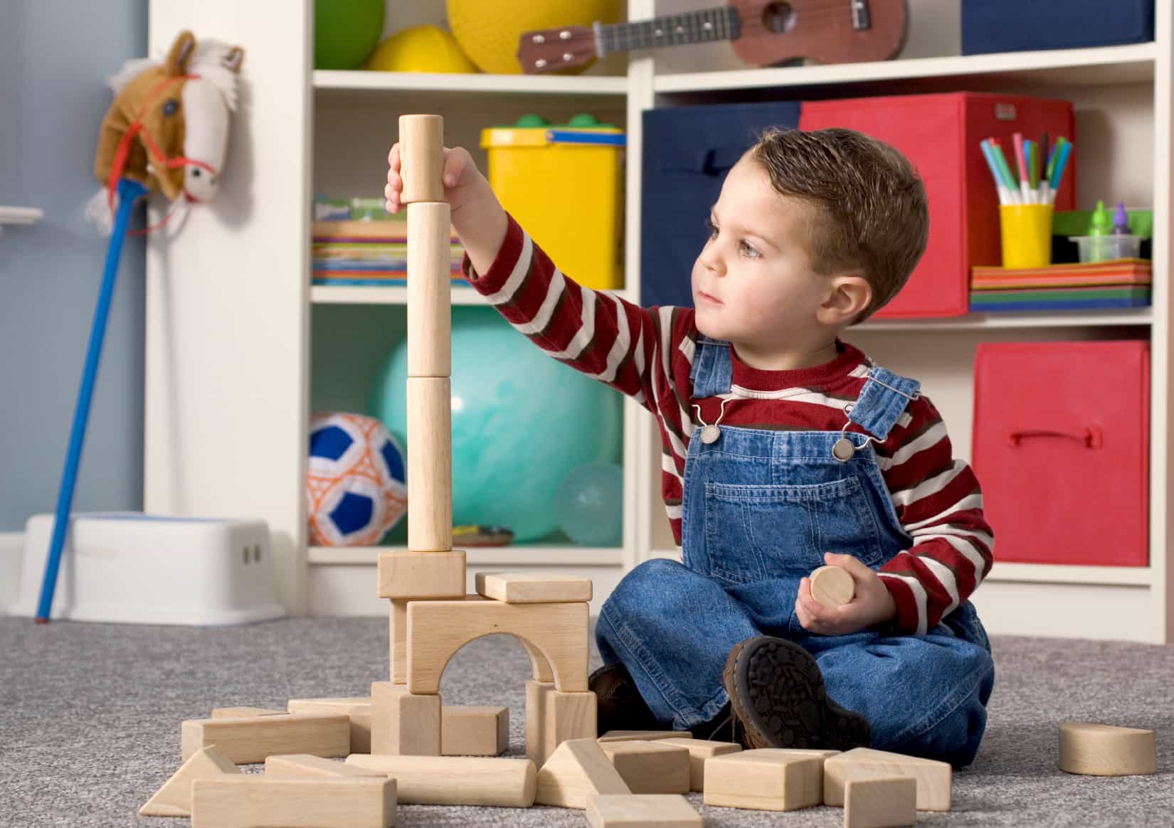 Cognitive Development