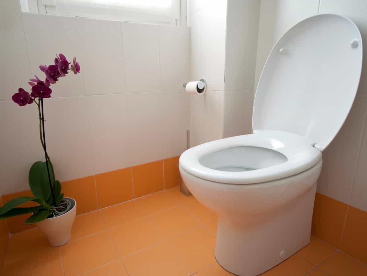 Frequent urination when pregnant
